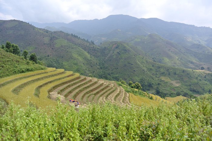 Write About Your Experience