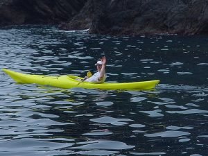 kayak
