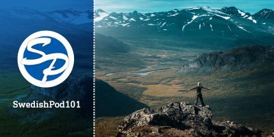 swedish101
